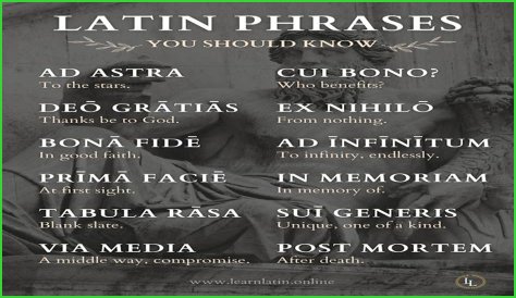 A Profile Of A Latin Beauty